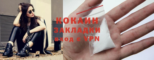 гашик Переславль-Залесский