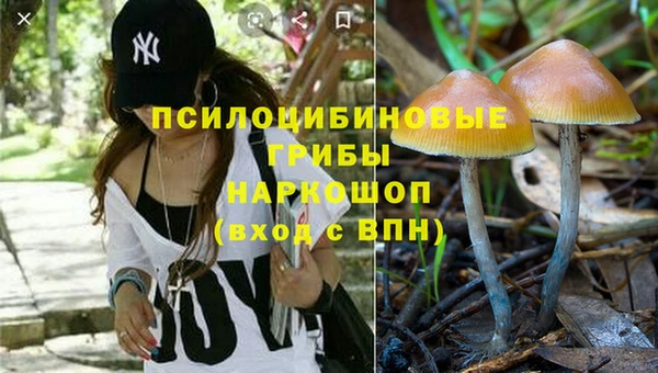 гашик Переславль-Залесский