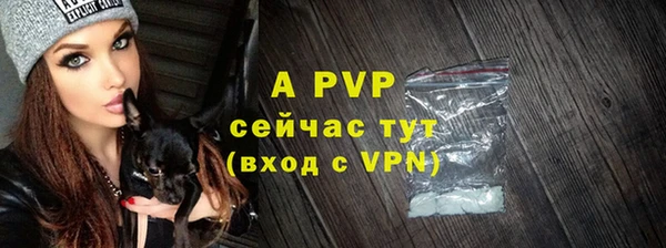 гашик Переславль-Залесский
